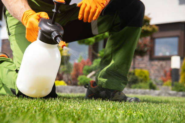 Best Wasp Removal Services  in Charlevoix, MI