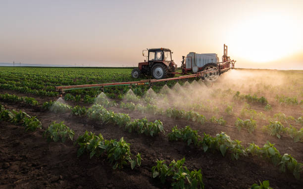 Pest Prevention Services in Charlevoix, MI