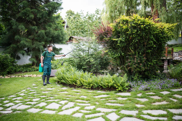 Best Residential Pest Control  in Charlevoix, MI