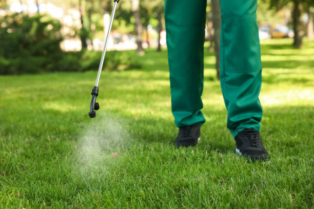 Best Affordable Pest Control Services  in Charlevoix, MI