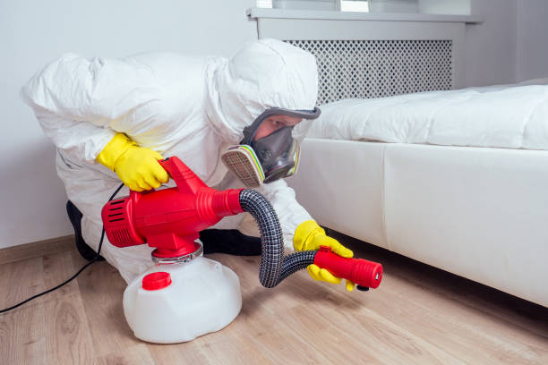 Best Pest Control for Homes  in Charlevoix, MI