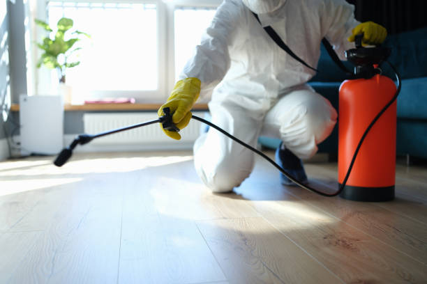 Best Termite Control Services  in Charlevoix, MI