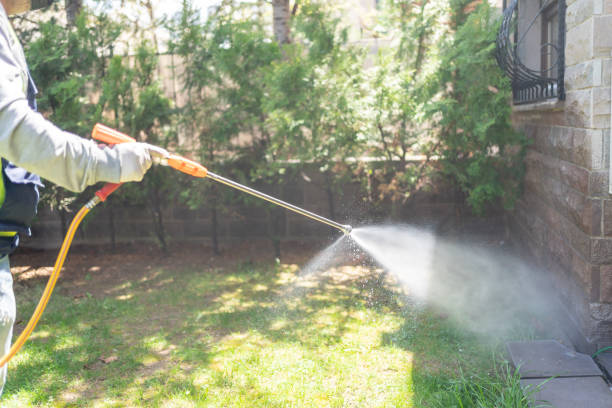 Best Bird Control  in Charlevoix, MI