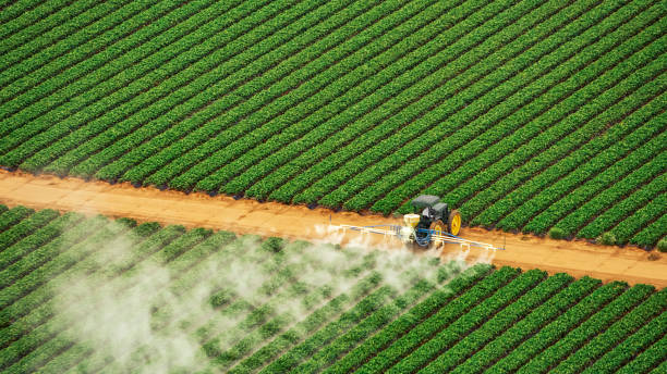 Best Mosquito Control Services  in Charlevoix, MI
