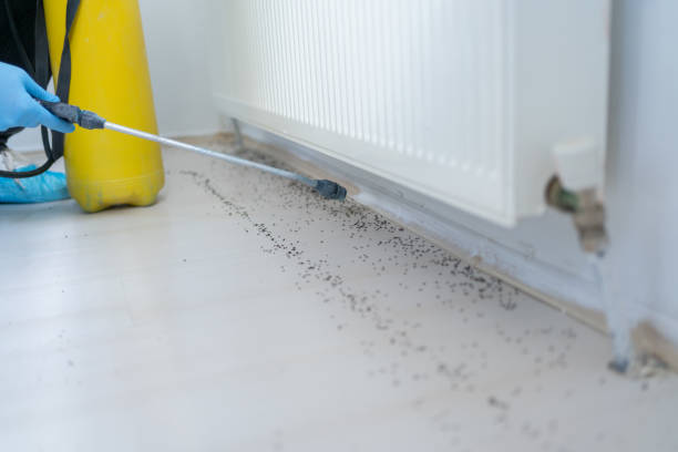 Best Pest Prevention Services  in Charlevoix, MI